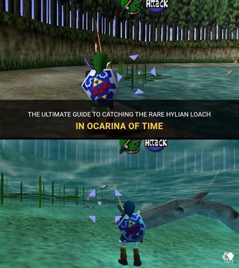 How to catch the Hylian Loach fish in Ocarina of Time.